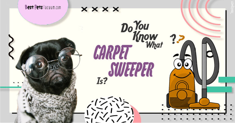 Read more about the article Carpet Sweepers For Pet Hair: What You Should Know
