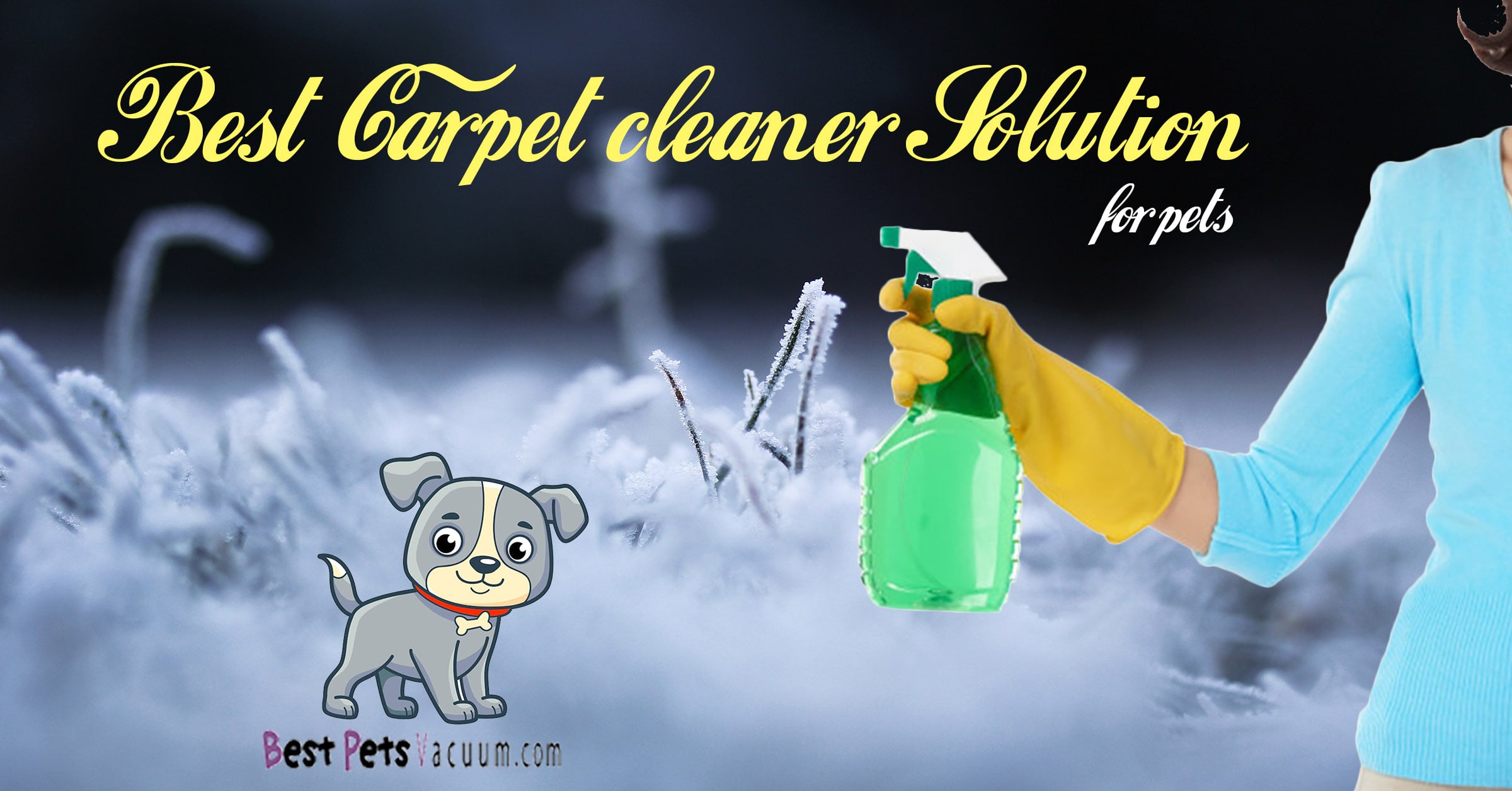 Best Carpet Cleaner For Pets: Best Carpet Cleaner