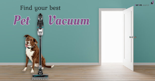 Best Pet Vacuum (WHAT YOU MUST KNOW)