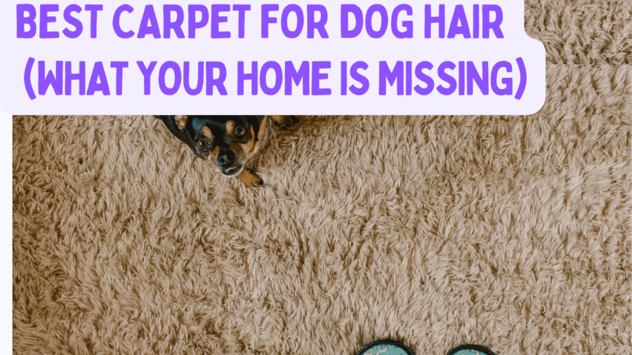 Best Carpet For Dog Hair (WHAT YOUR HOME IS MISSING)