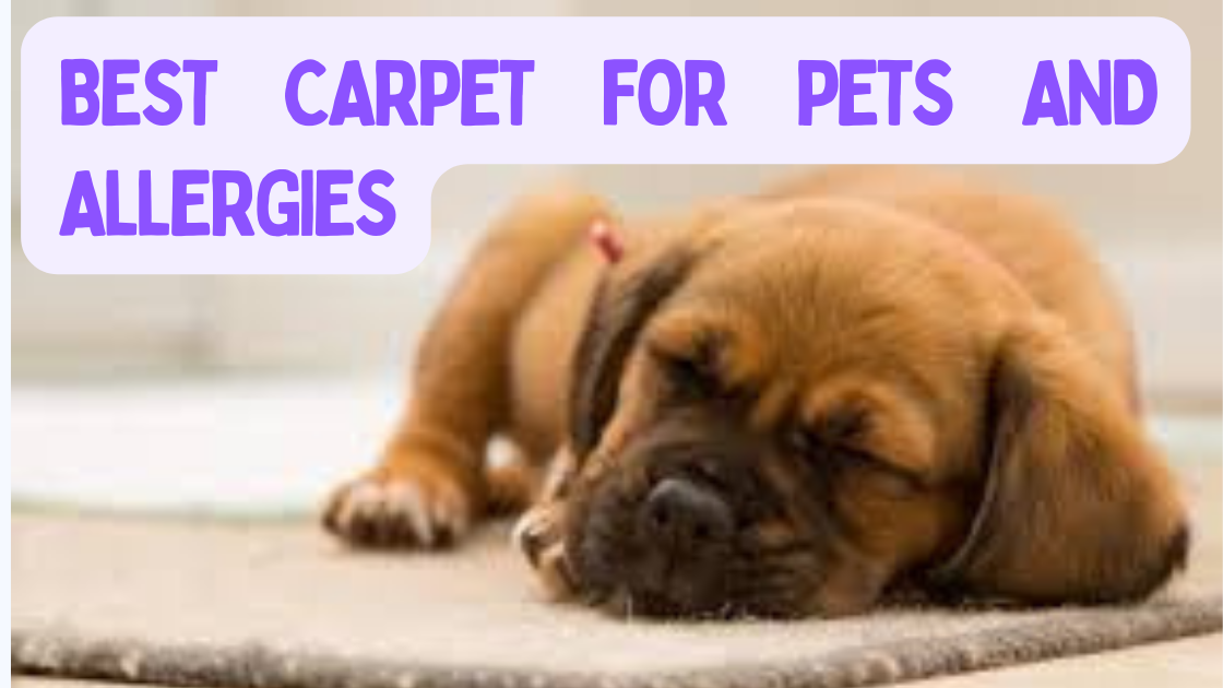 Best Carpet For Pets And Allergies (MUST KNOW)