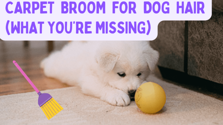 Read more about the article Carpet Broom For Dog Hair (WHAT YOU’RE MISSING)