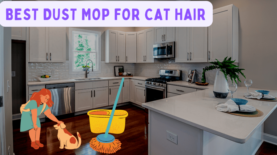 Best Dust Mop For Cat Hair