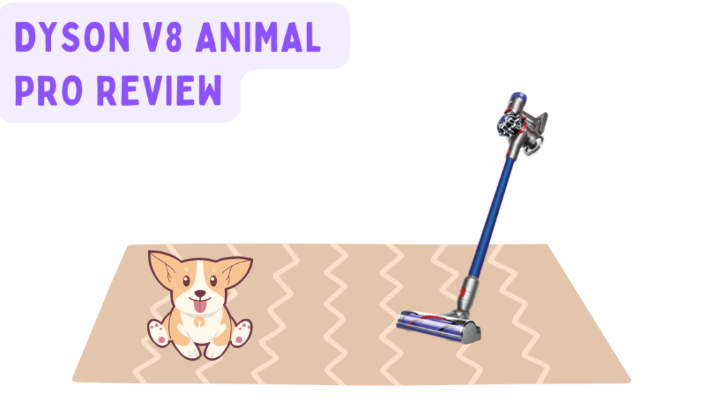 dog and sweeper under dyson v8 animal pro review