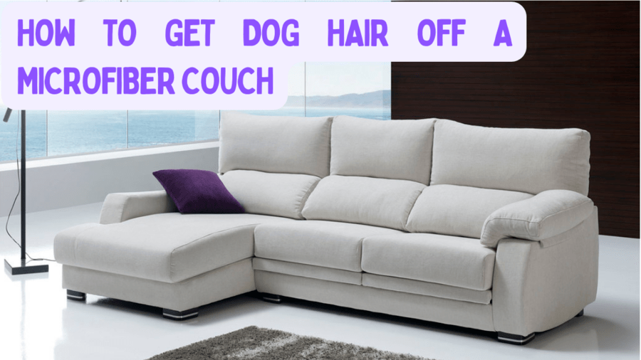 a couch in a home
