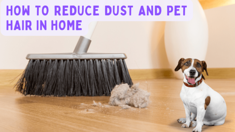 Read more about the article How To Reduce Dust And Pet Hair In Home