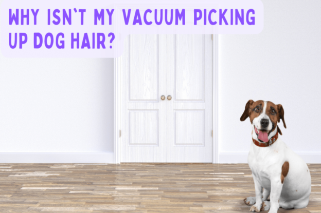 Why isn’t my vacuum picking up dog hair?