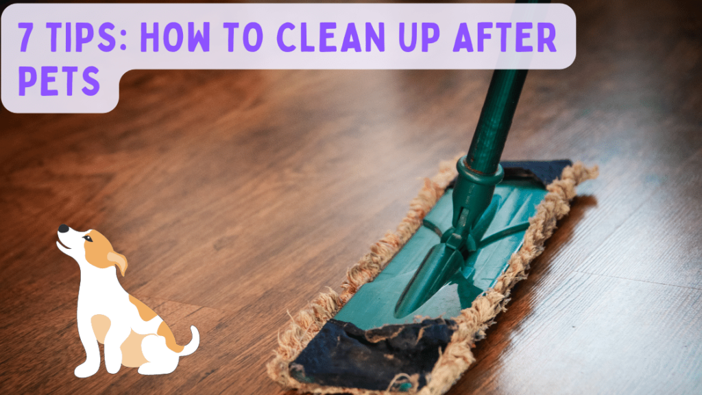 7 tips: how to clean up after pets